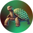 TerraTurtle