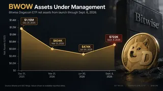 BWOW’s assets fell below $1M, reaching $722K before Bitwise shut the fund. BWOW’s assets fell below $1M, reaching $722K before Bitwise shut the fund.