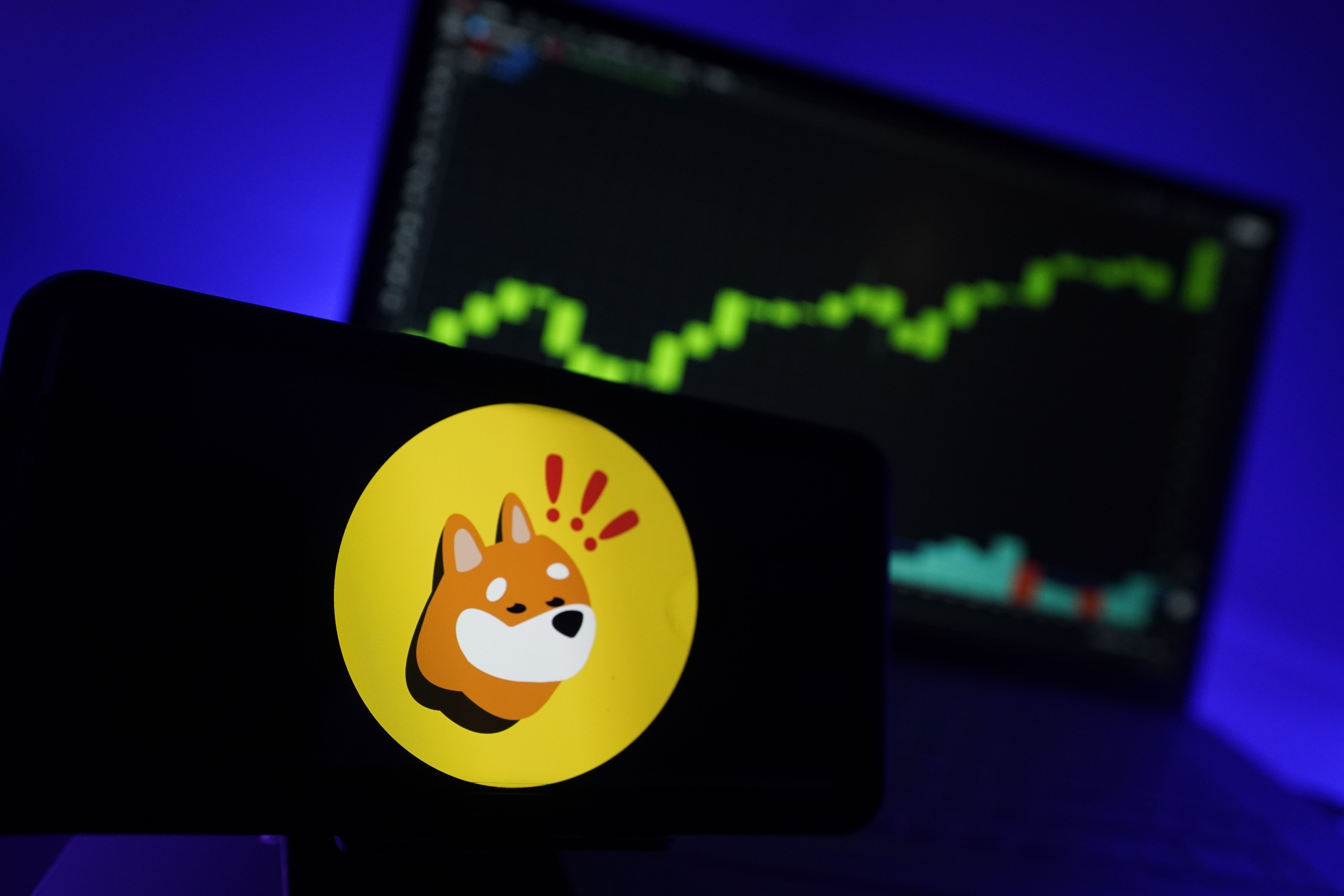 Solana’s Bonk Meme Coin Booms: Another Rally Incoming?