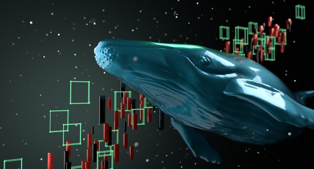 XRP Whales Go on a Buying Spree as Price Hits Two-Year Low 
