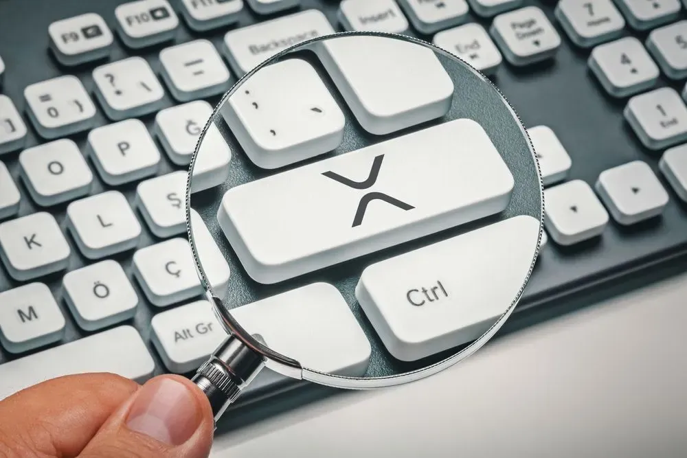 XRP Tops Every Major Crypto in Average Transaction Size as Evernorth Expands Treasury Bet
