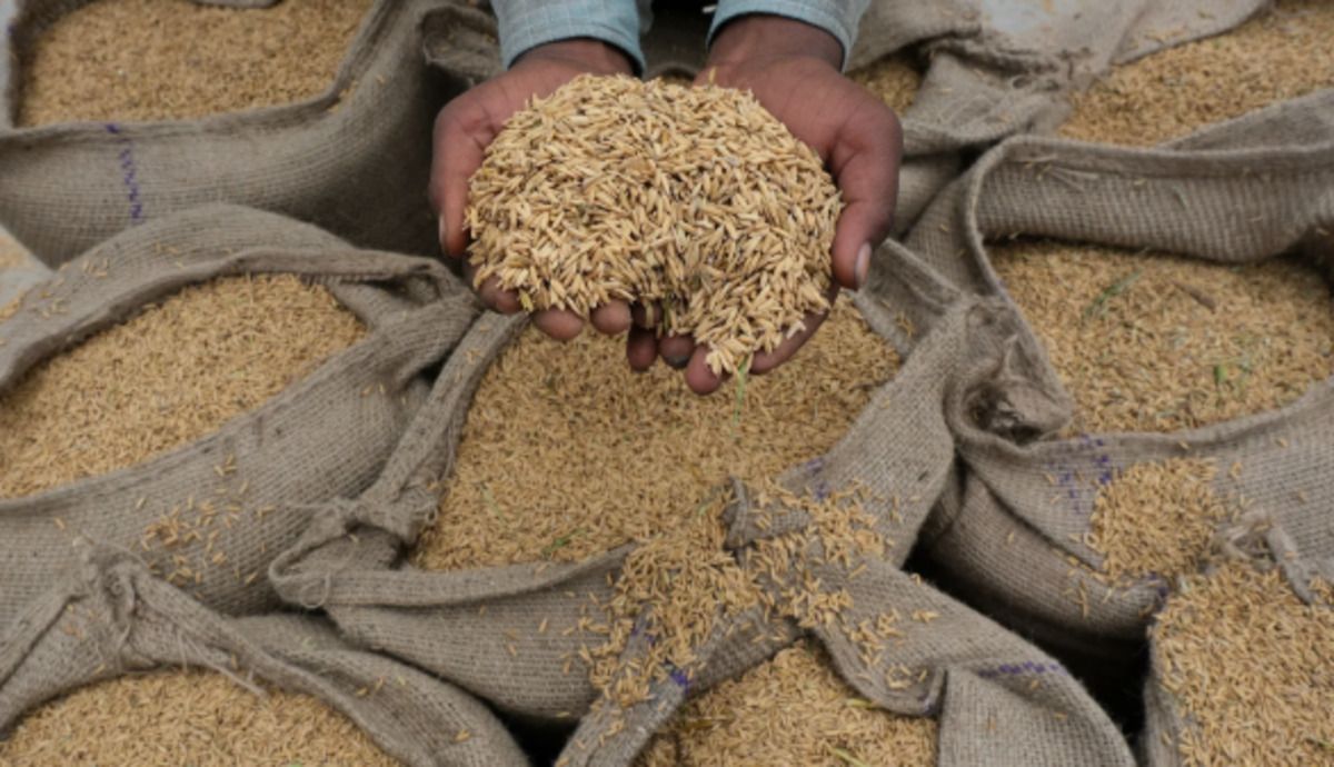 Japan’s Food Self-Sufficiency Hits Record Low, Rice Crisis Deepens