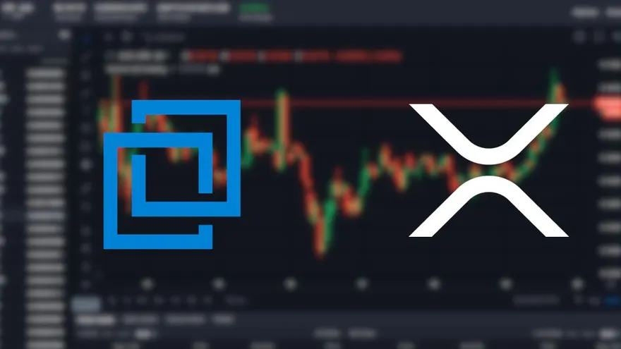 How to Trade XRP on Bittrex? Bittrex Trading Guide