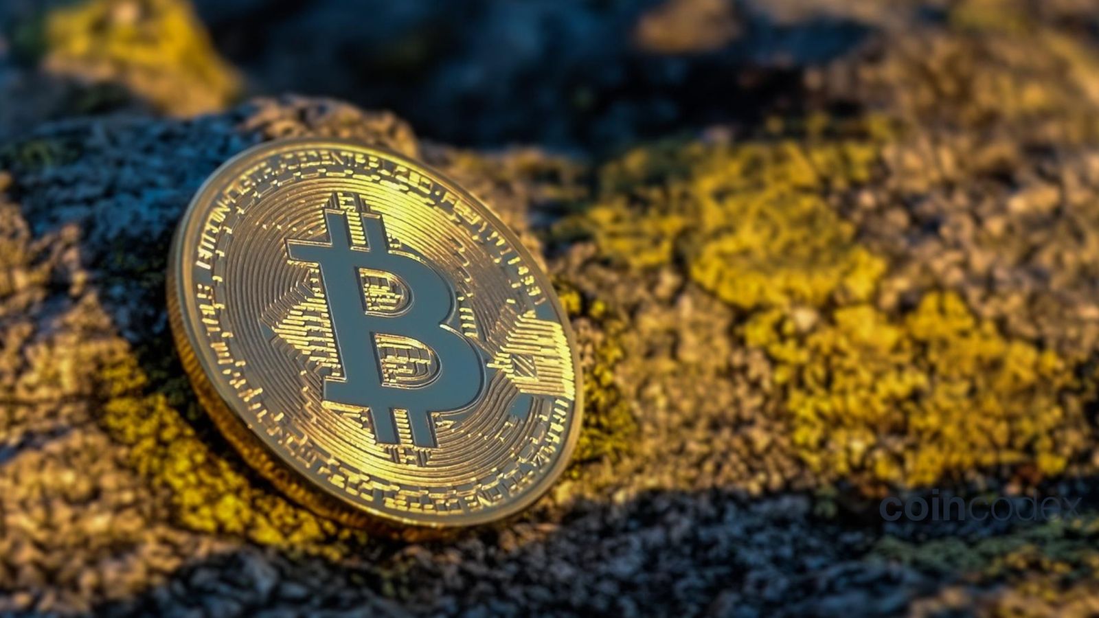 Bitcoin Dominance Is Climbing Again: What That Actually Means for Altcoin Holders