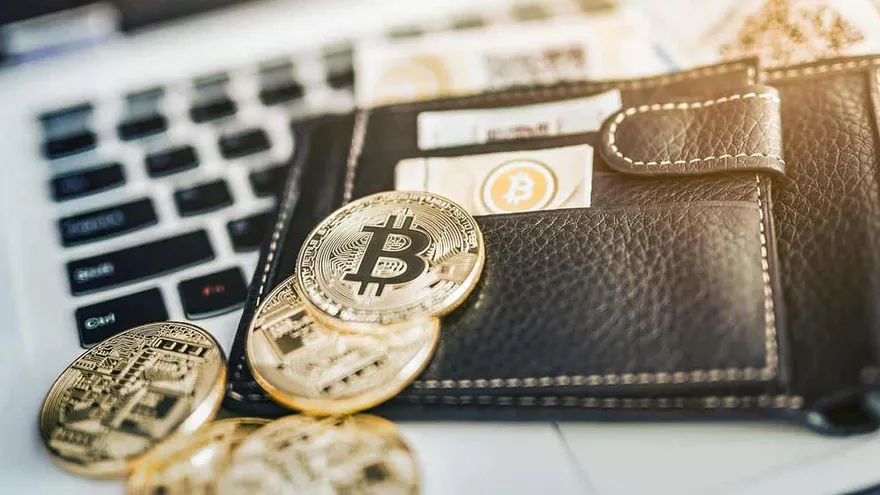 What is a Cryptocurrency Wallet?