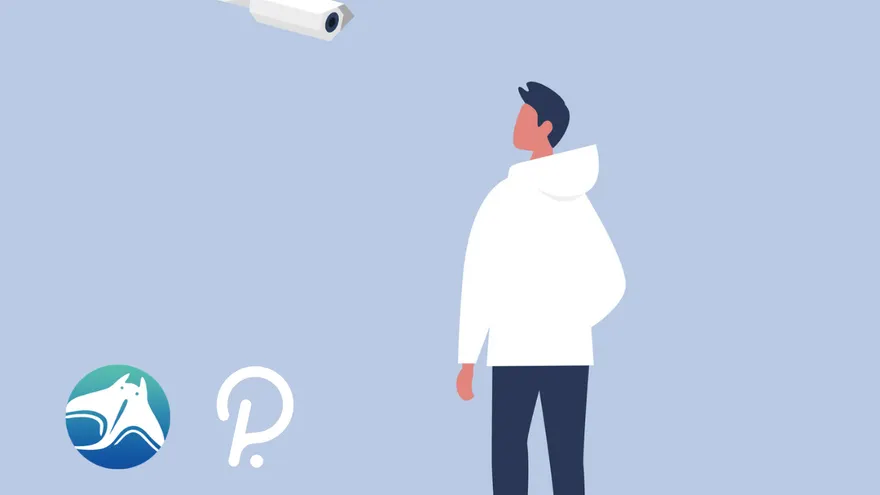 Upcoming Polkadot Parachain Manta Network Creates a Privacy-Preserving DeFi Stack