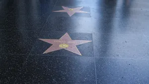 Celebrities and ICOs