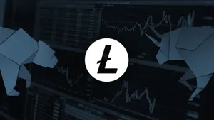 Litecoin Price Analysis - Can We Expect LTC to Correct to $48?