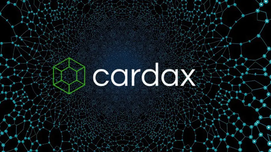 High Gas Fees Are a Problem, Here’s How Cardano Can Help Via Cardax
