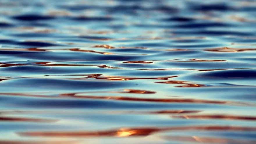 Ripple Price Under Pressure as Investors Left Unsatisfied at Swell Conference