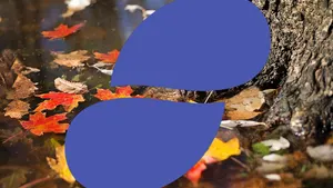Is Status (SNT) Finally Going to Break Out to a New ATH in November?