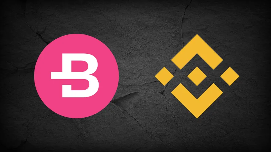 Bytecoin Binance Listing Controversy – A Quick Rundown
