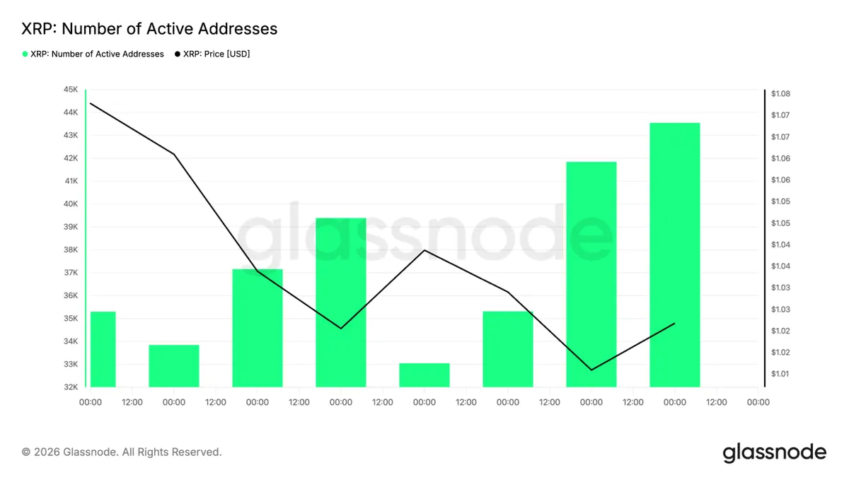 XRP active addresses chart