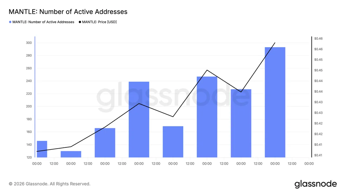 Mantle active addresses chart