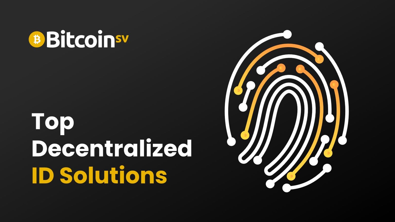 Top Decentralized ID Solutions | CoinCodex