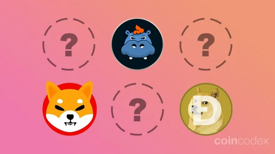 How Design, Community and Hype Propel Meme Coins to Riches