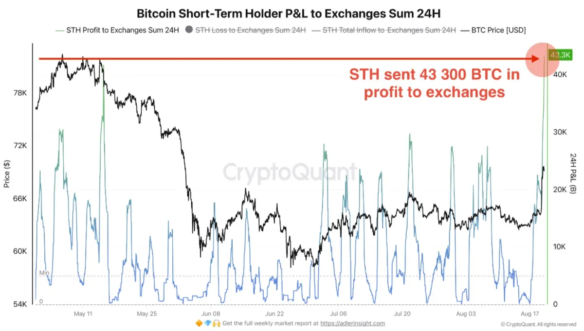 btc short term holders taking profits chart