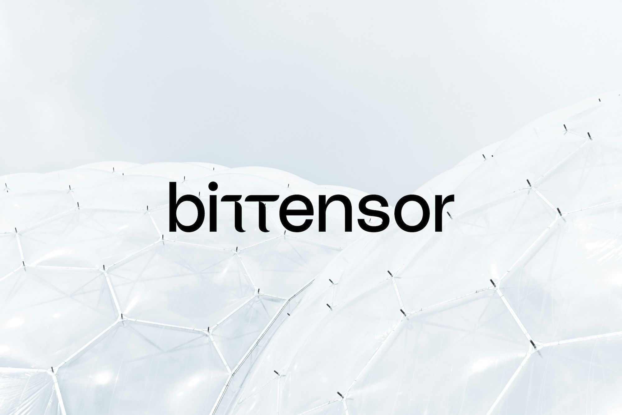 Bittensor Price Prediction: Is TAO Still on Track for Another Rally?