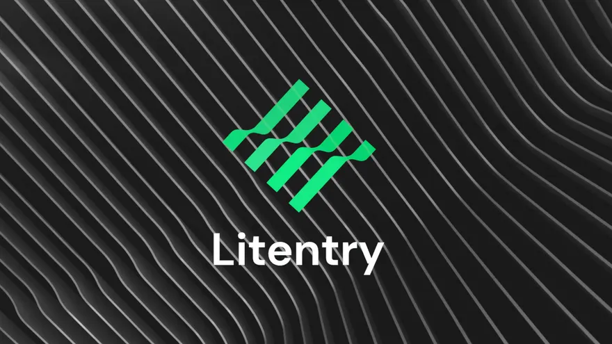 How to Participate in the Litentry Parachain Auction on Polkadot?