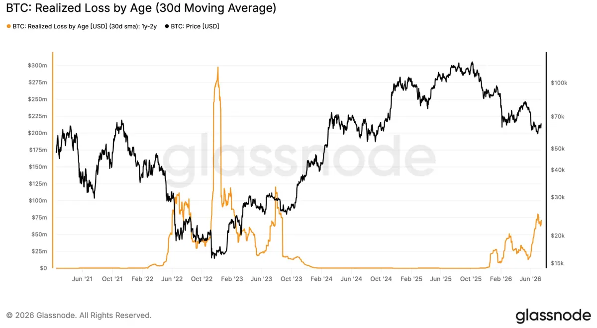 Bitcoin realized loss chart