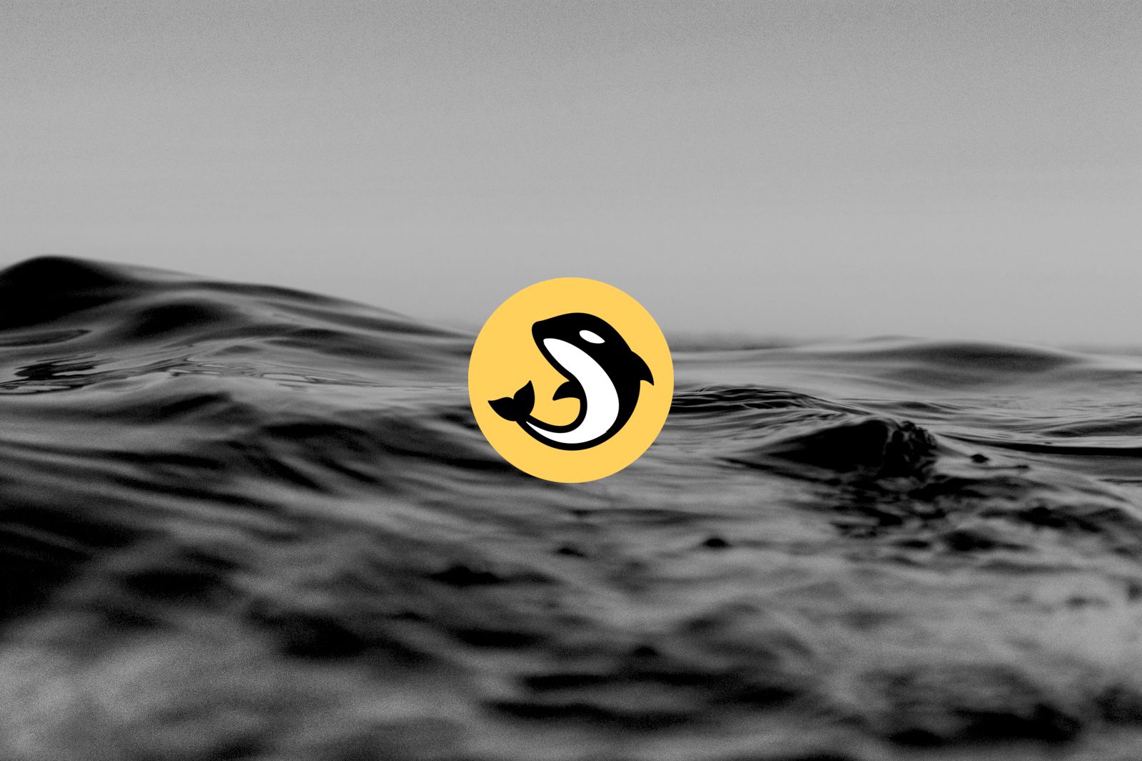 ORCA Price Surges 70% as Holders Vote on 14.2M Token Treasury Shift