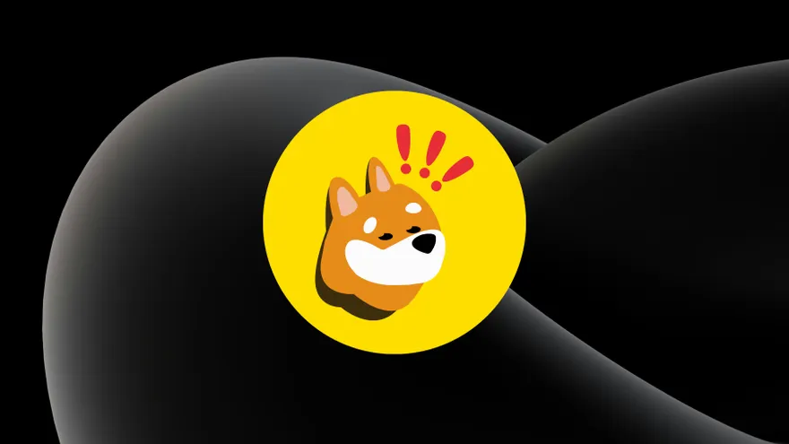 BonkDAO Just Lost $20M Without Being Hacked, BONK Slides 8%