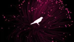 How Kusama's Parachain Auctions Work