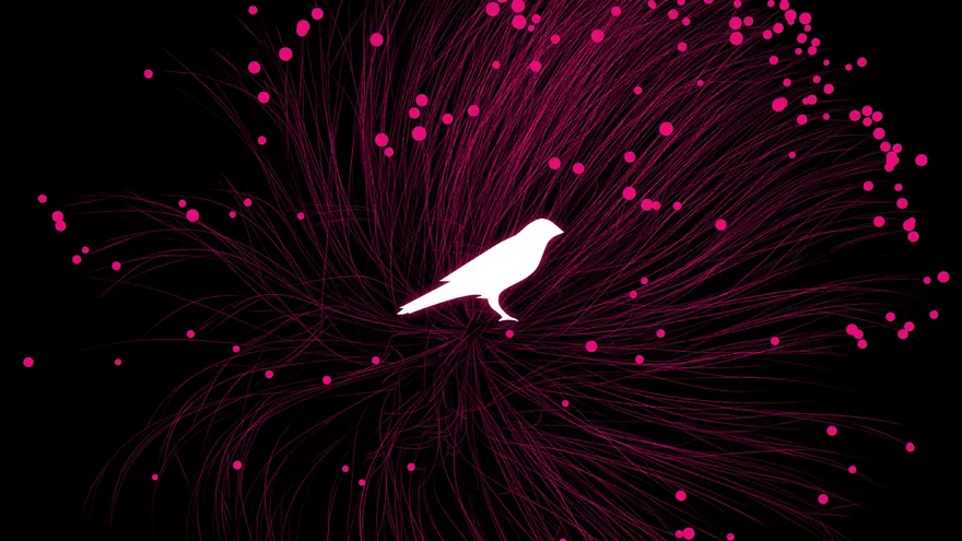 How Kusama's Parachain Auctions Work