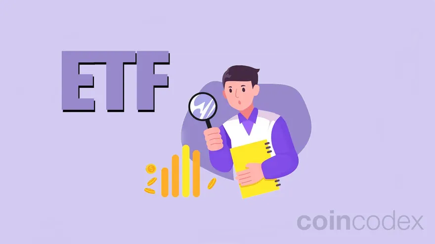 How Many ETFs Should You Own?