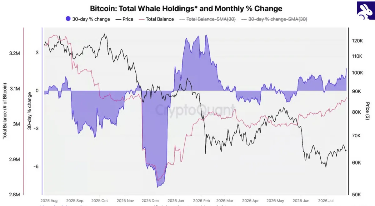 Bitcoin whale holdings chart