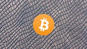 How to Store Bitcoin?