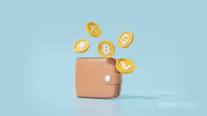 How to Build Your Own Crypto Wallet *Almost* For Free