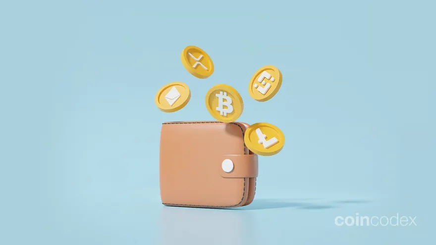 How to Build Your Own Crypto Wallet *Almost* For Free