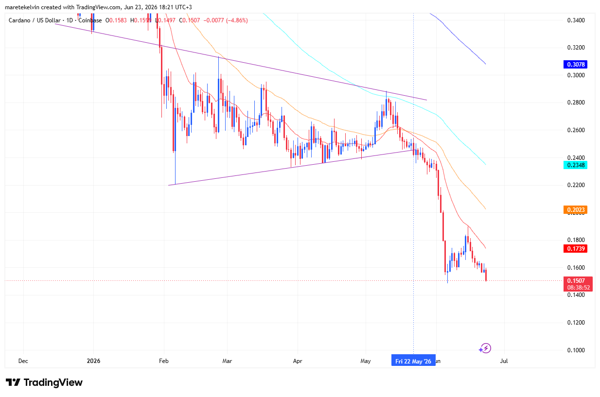Cardano chart analysis
