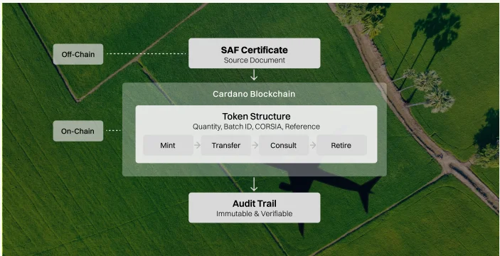 Cardano Petrobras partnership