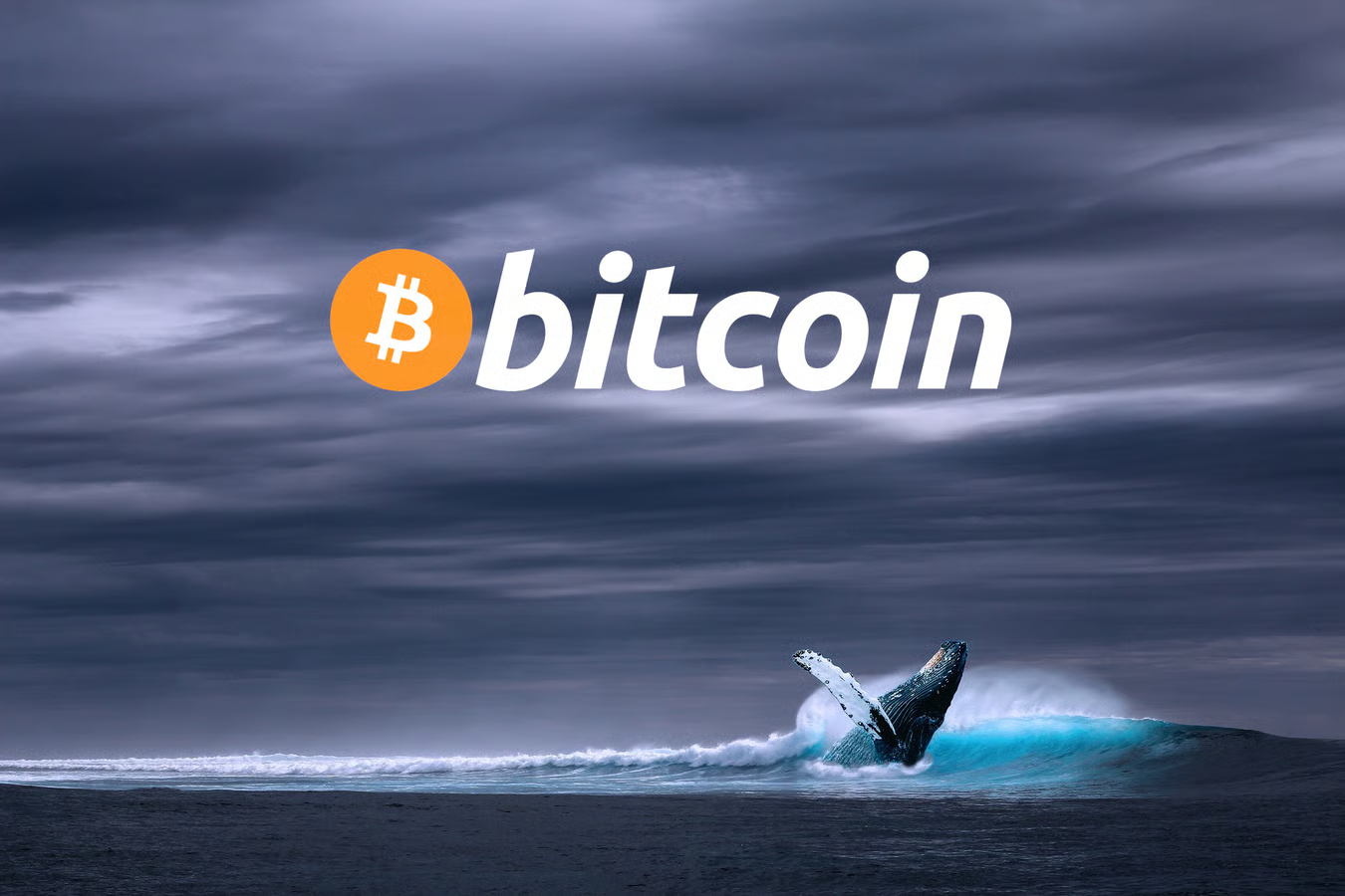 Whales Consider Bitcoin Too Cheap to Take Profit as BTC Tops $80K