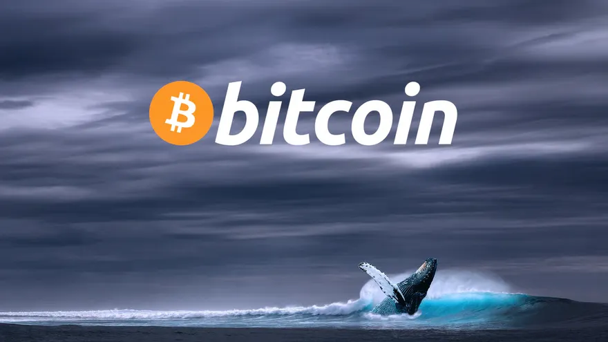 Whales Consider Bitcoin Too Cheap to Take Profit as BTC Tops $80K