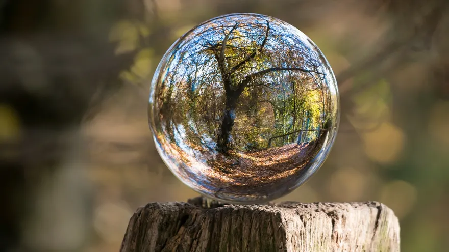 Top 5 Prognosis / Wisdom of Crowds Coins