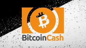 Bitcoin Cash Fan Says He Will Purchase 111 Model 3s If Tesla Accepts BCH Payments