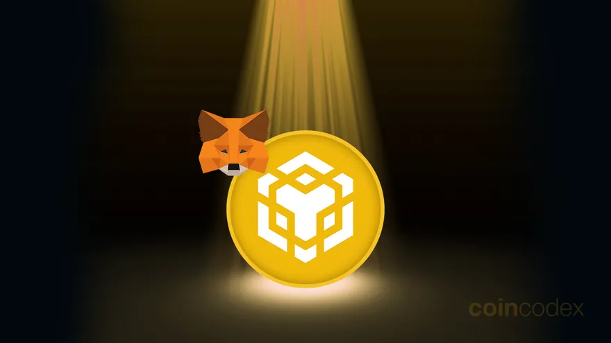 How to Add Binance Smart Chain (BNB) to MetaMask?