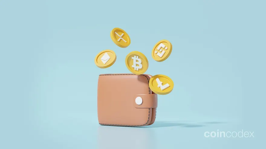 How to Create a Crypto Wallet?