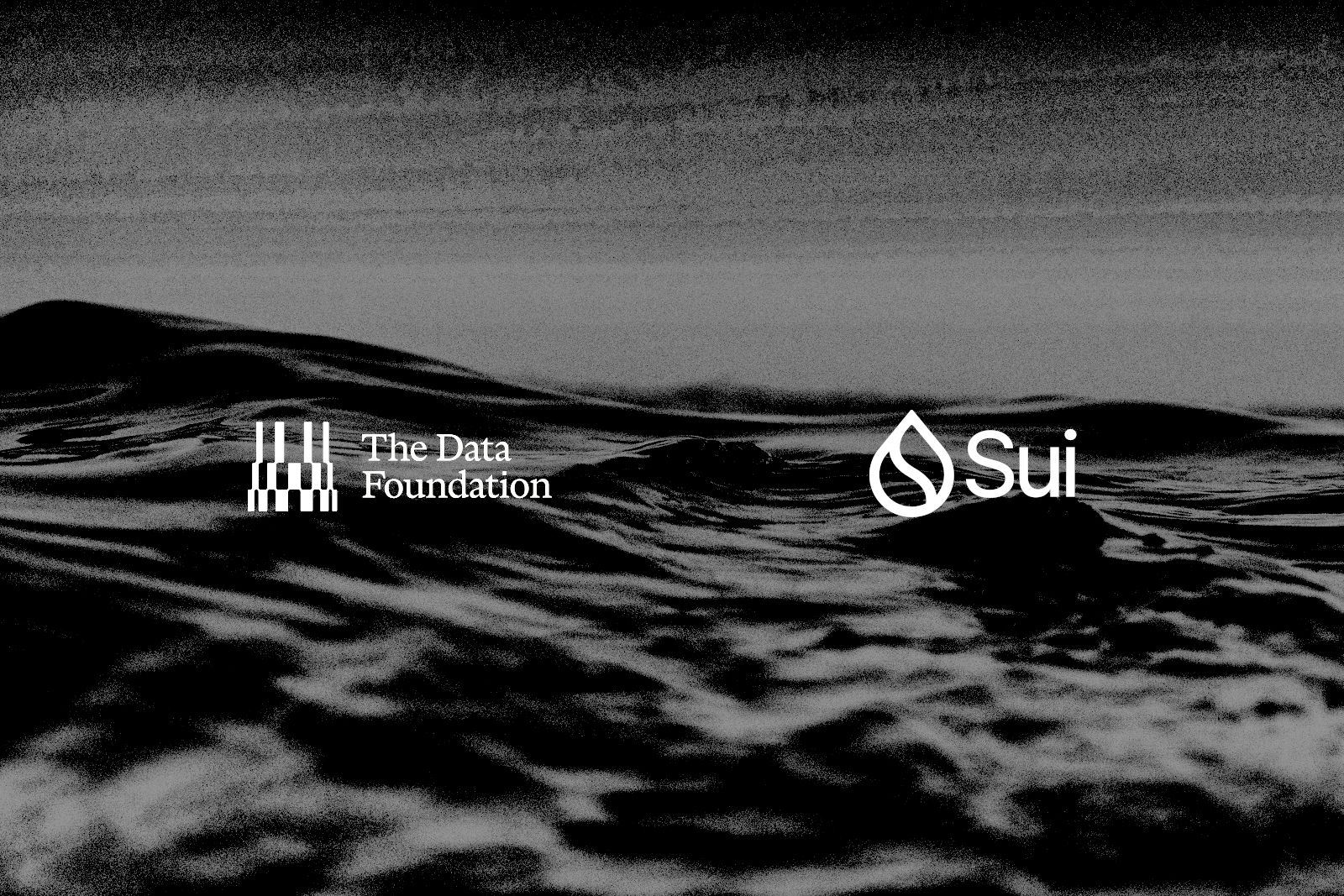DATA Network Ditches Its Own Chain for Sui, Secures $30 Million Funding