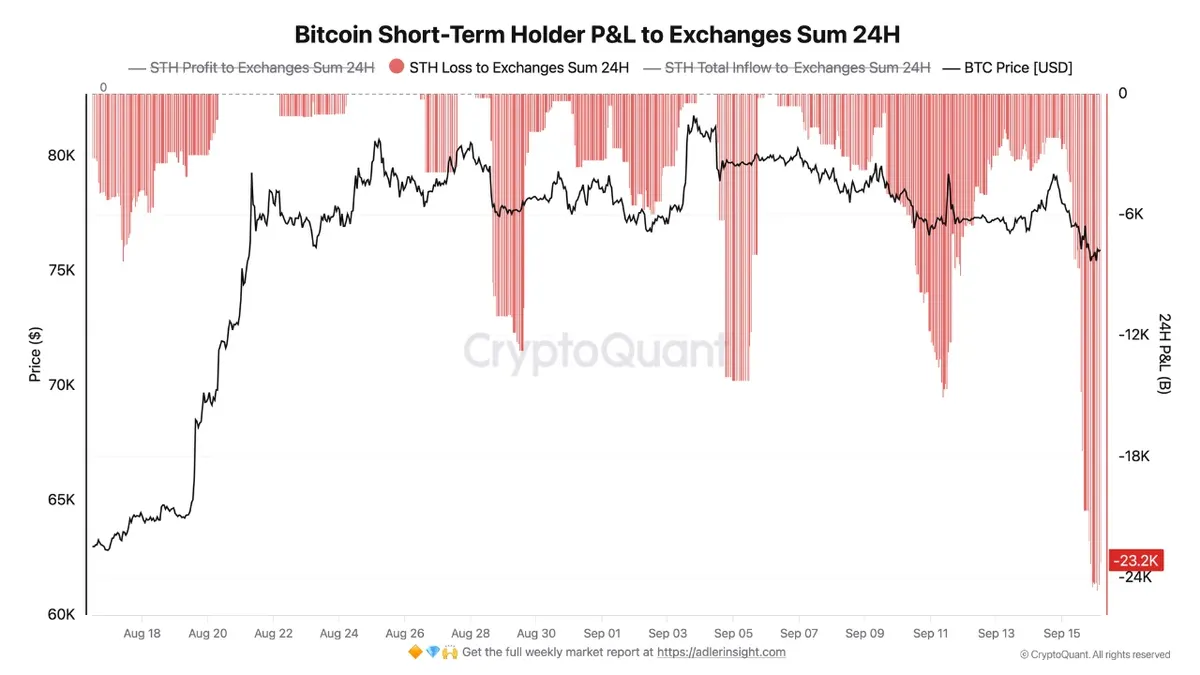 Bitcoin short-term holder PnL