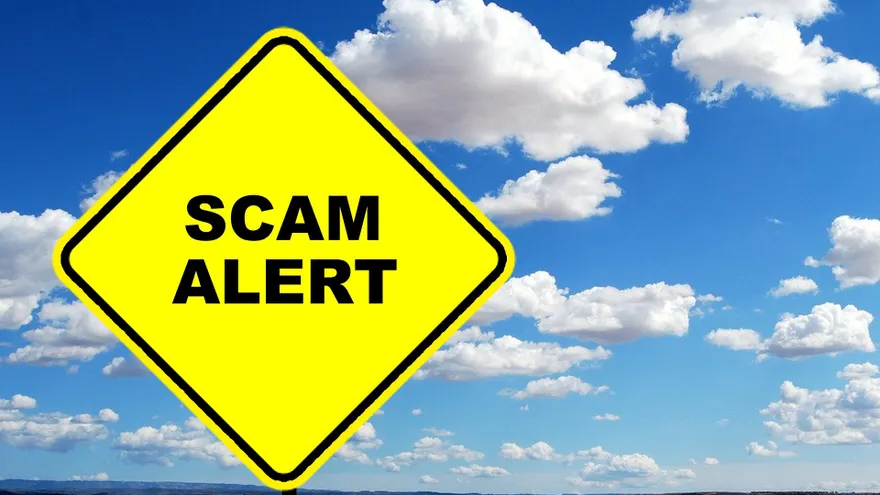 How to Detect Scam Crypto Projects?