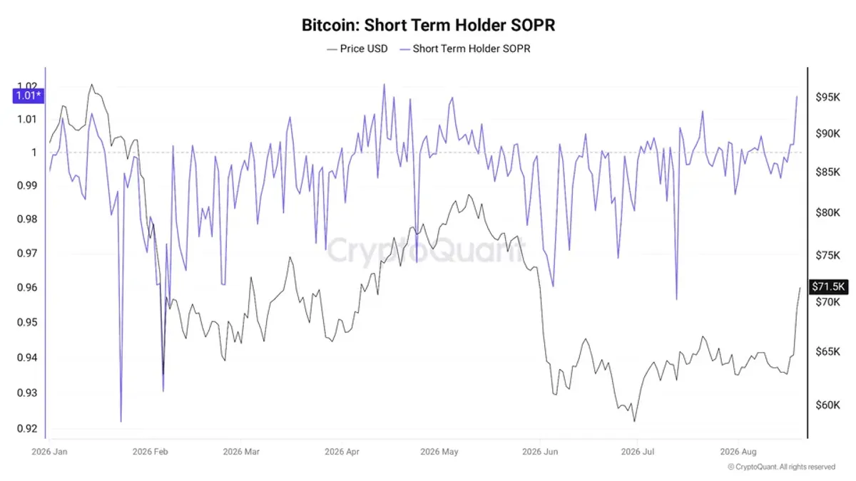 short-term holder spent output profit ratio, or STH-SOPR, rose to 1.01, its highest level since April