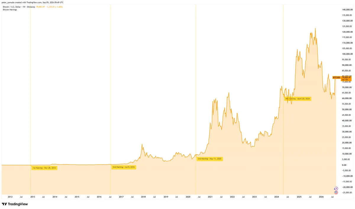 Bitcoin halving price chart