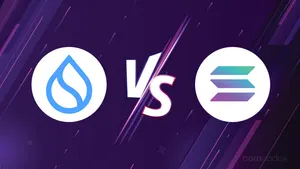 Sui vs Solana: Can the Newcomer Beat the Giant in 2025?
