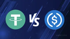 What Fees Are Cheaper: USDT or USDC?