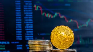 Beginner's Guide: Understanding Cryptocurrency Basics