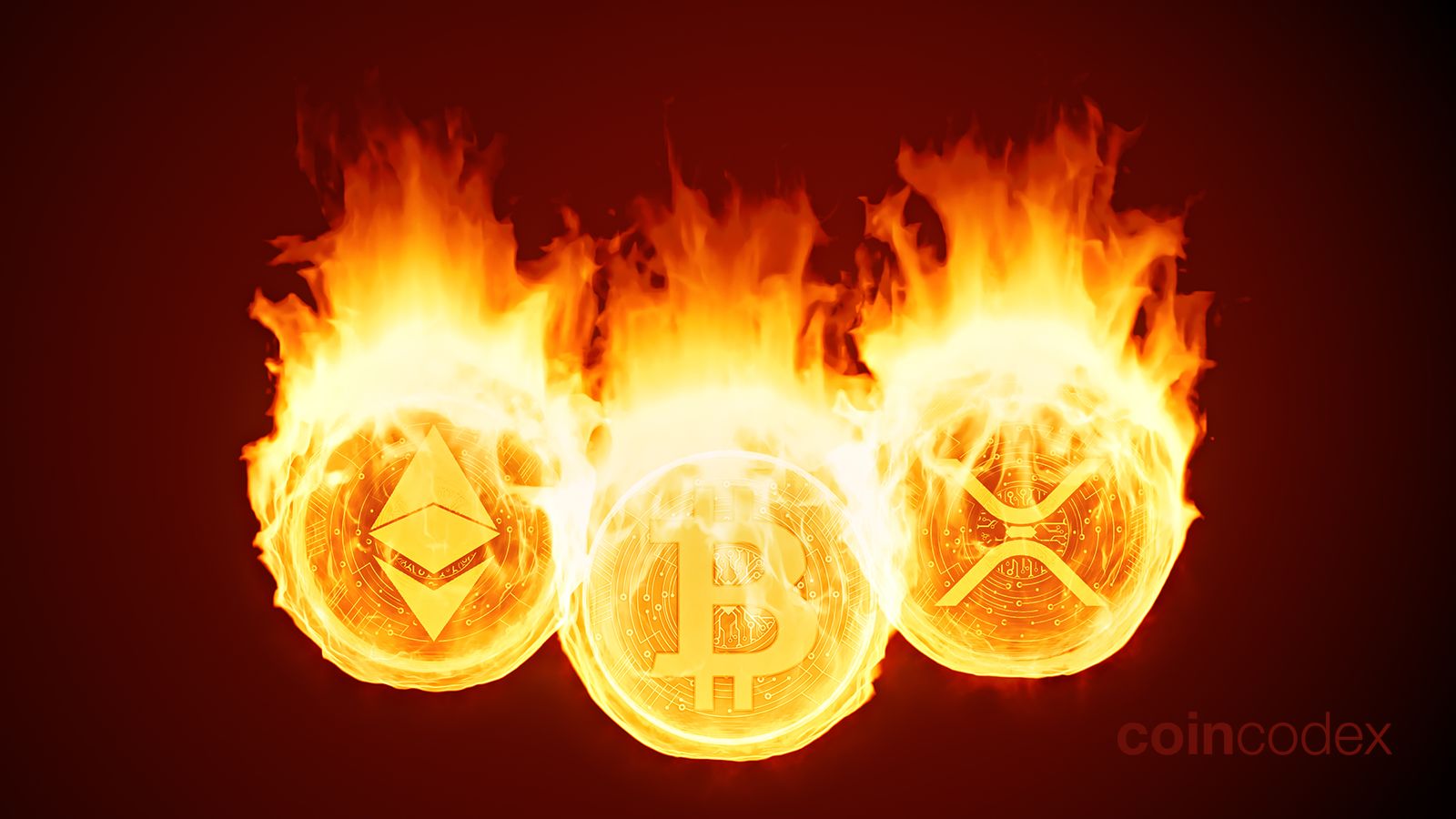 Coin Burn: What Does Coin & Token Burning Mean in Crypto? | CoinCodex